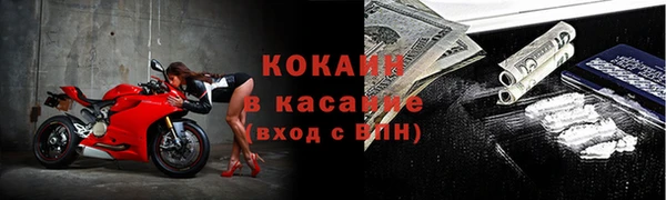 мдпв Верхний Тагил