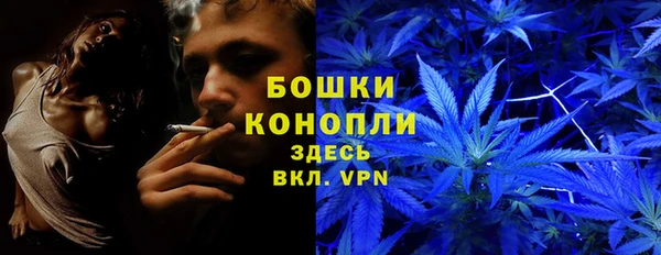 мдпв Верхний Тагил