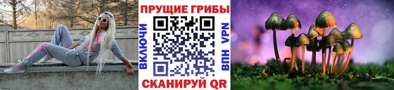 Купить закладки  Зея  Галлюциногенные грибы Magic Shrooms 